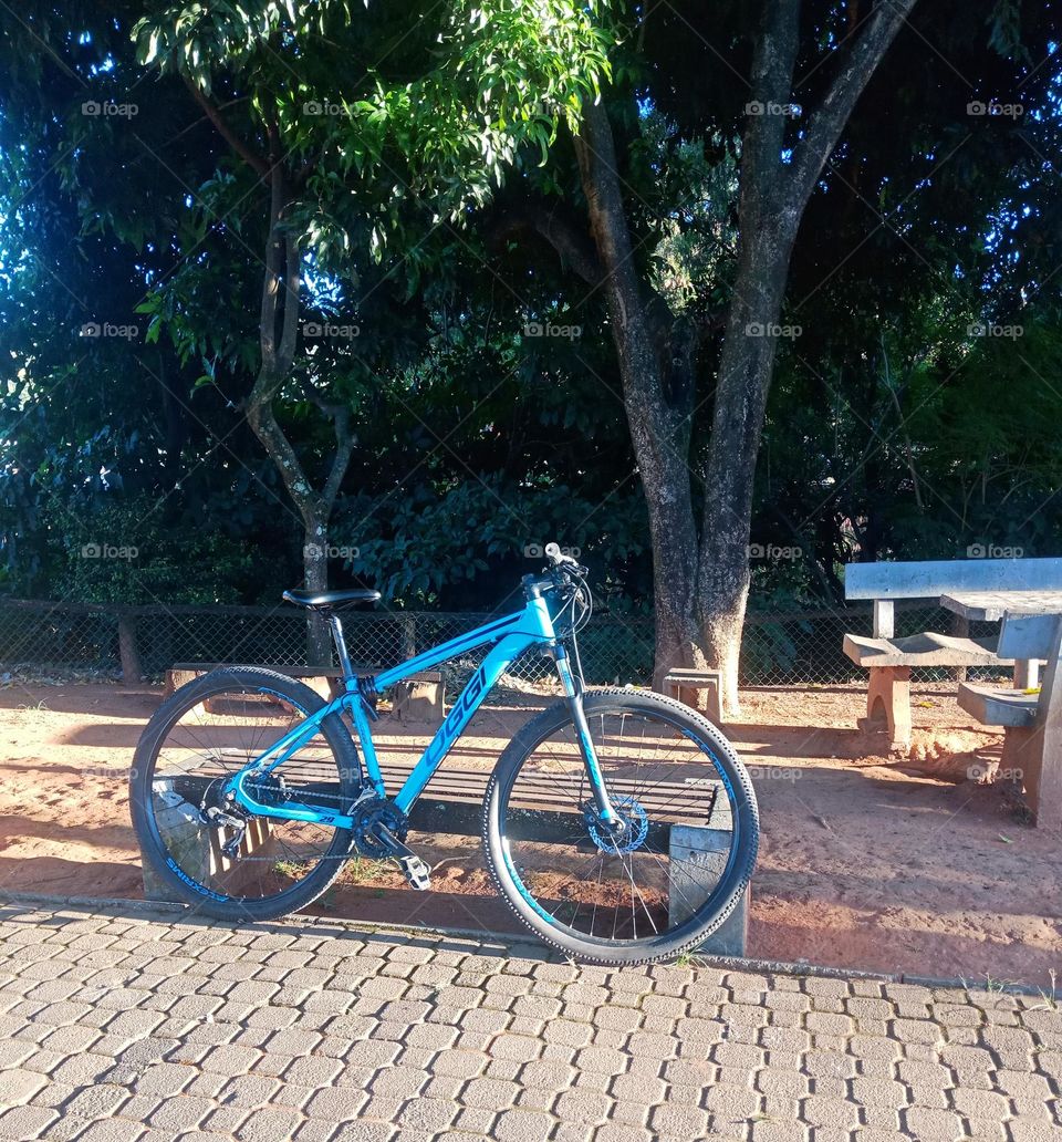A blue bicycle left by a walking path, at Parque Linear Amparo-SP