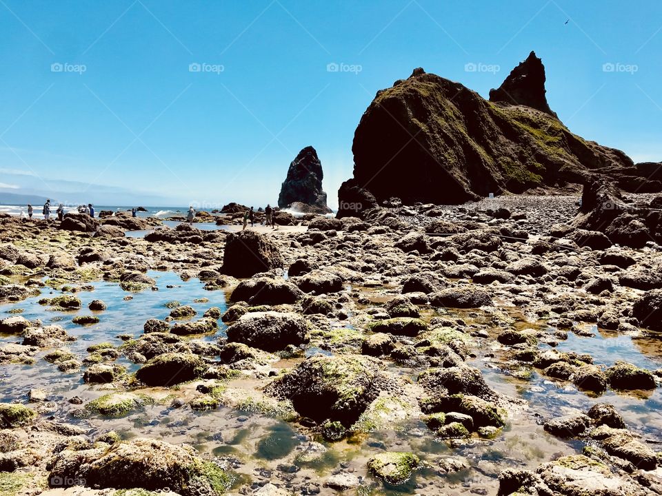 Gorgeous photos from Pacific Northwest taken in Washington and Oregon on beautiful day. 