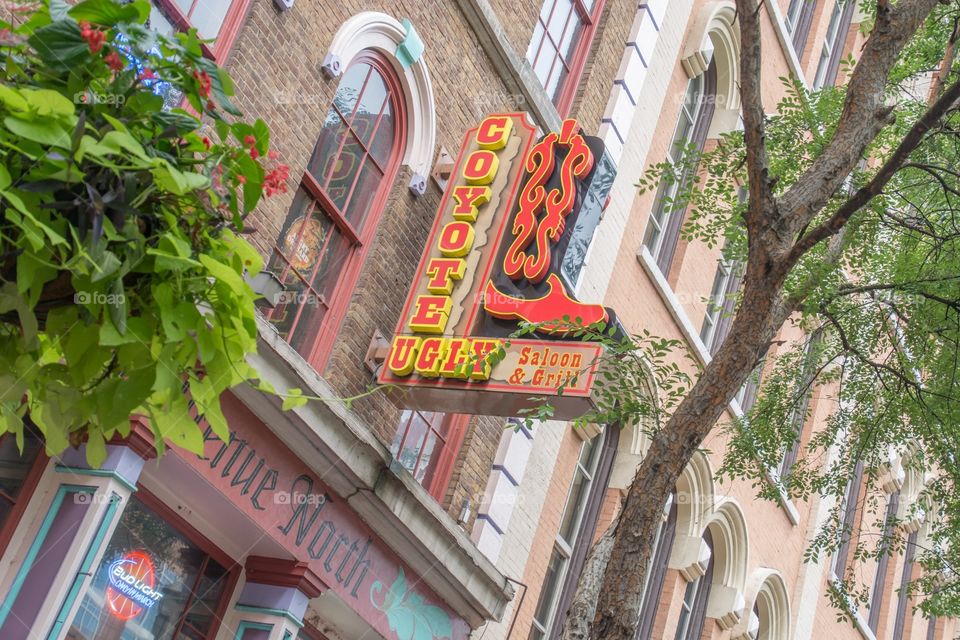 Coyote ugly in downtown Nashville 