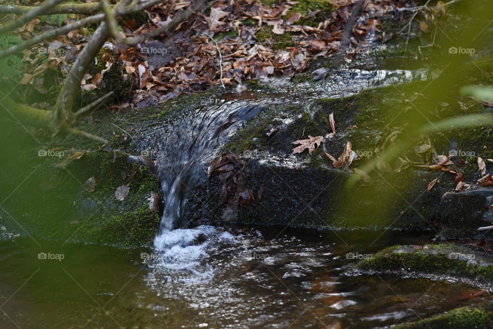 Mountain stream tumbling over rocks