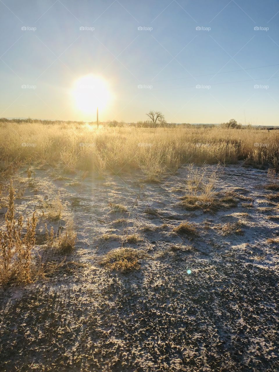 Before the snow melts