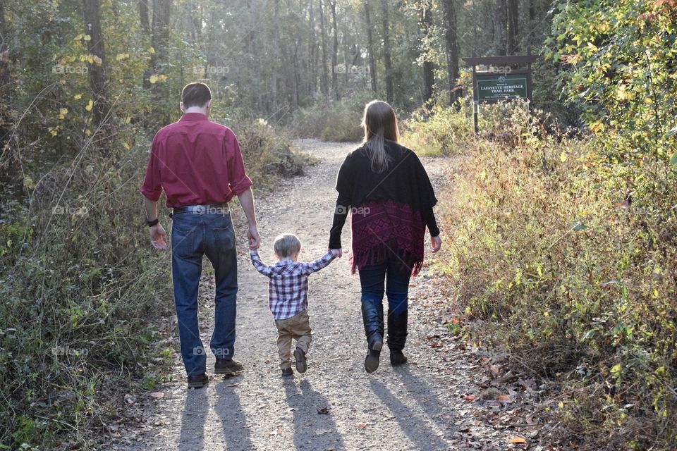 Walking in the Woods