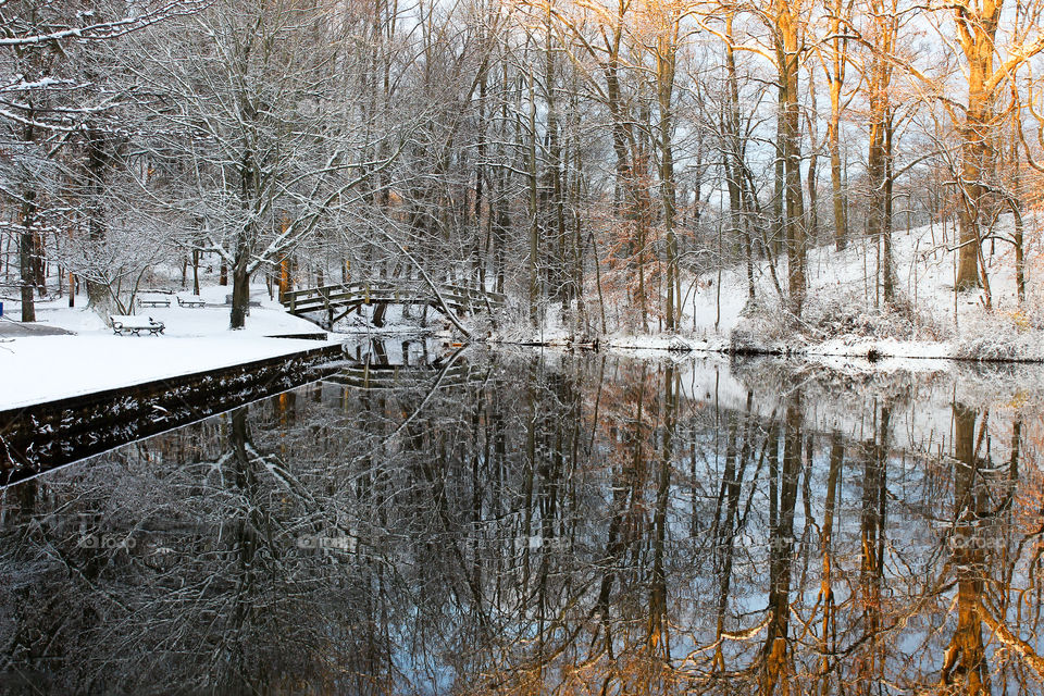 Winter Wonderland after the first snow