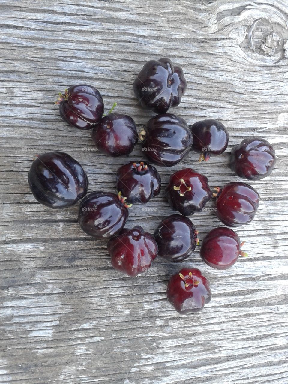 Pitanga (Eugenia uniflora) is a tree or shrub native to southern, northern and central Uruguay, southern Brazil and other South American regions. Pitanga fruits on an very old table in my garden.