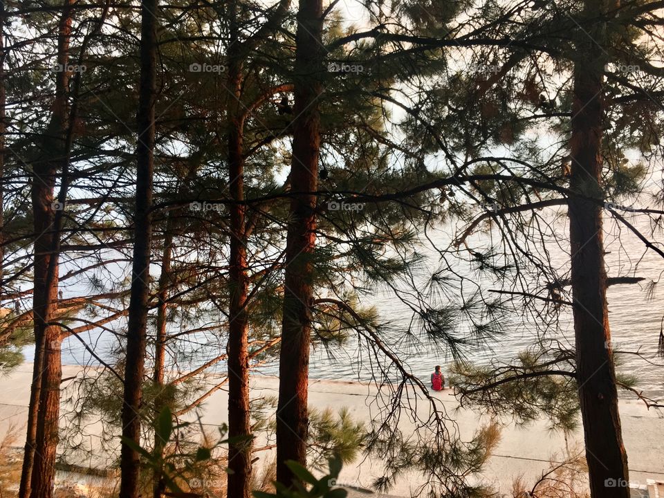 Person sitting on the seaside. Angle from the forest above. 