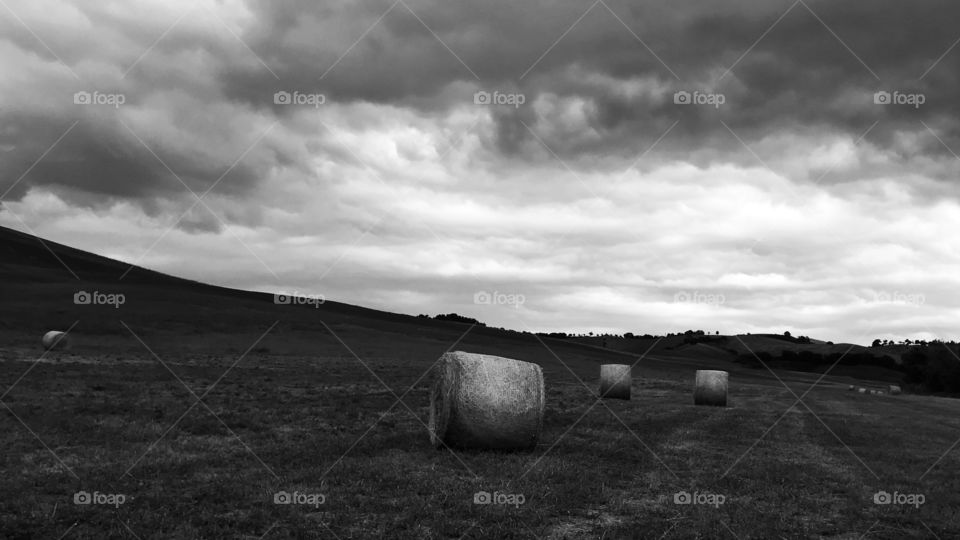 Haystacks on the field