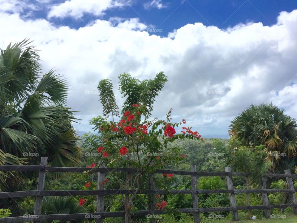 paisaje puerto plata