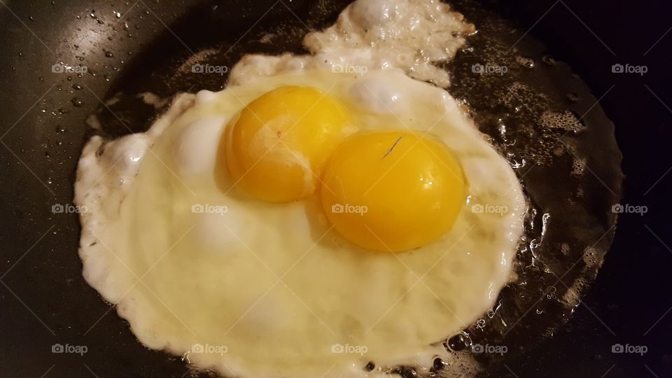 fresh farm egg double yolk