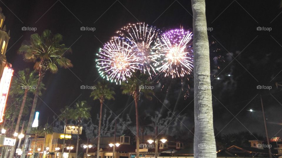 firework palms