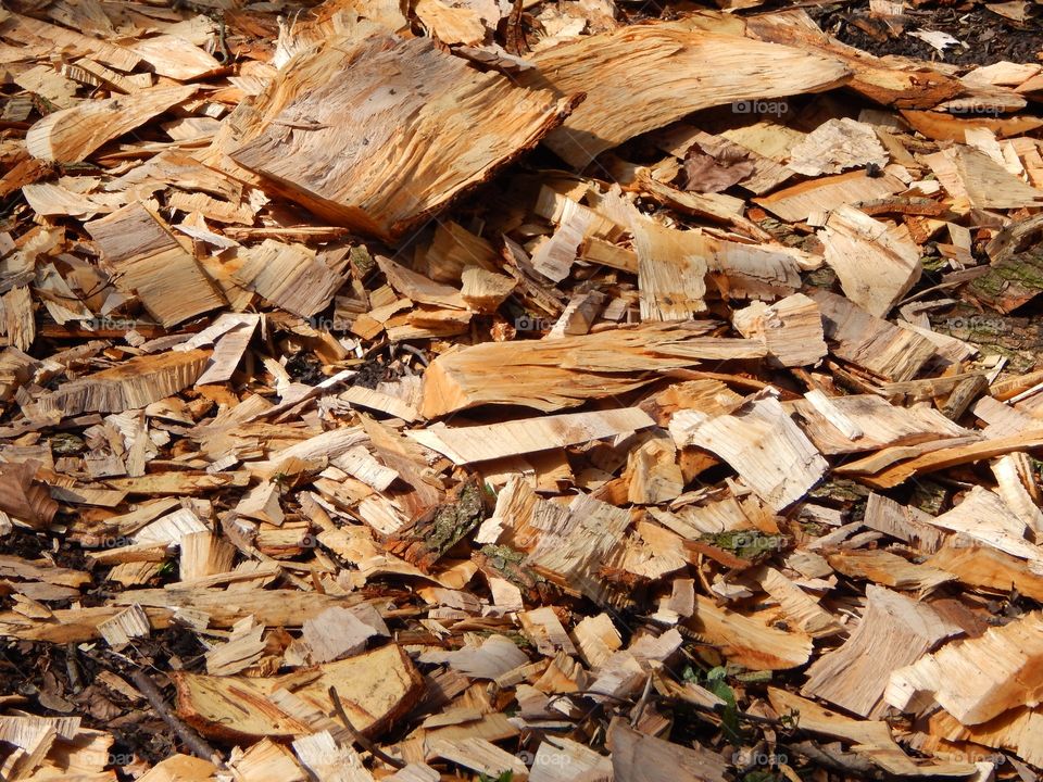 Wood Chips