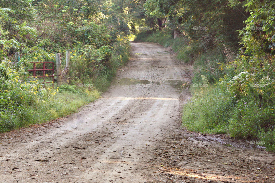 Old country road and wire fence