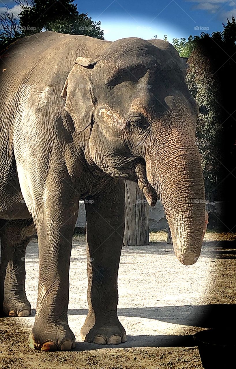 Make a big impression 