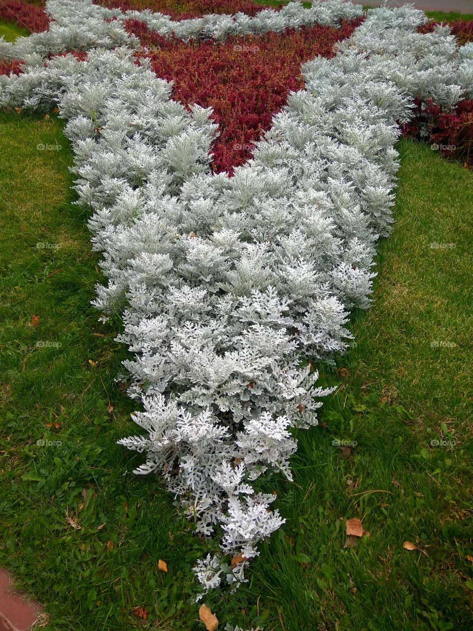 Flowerbed