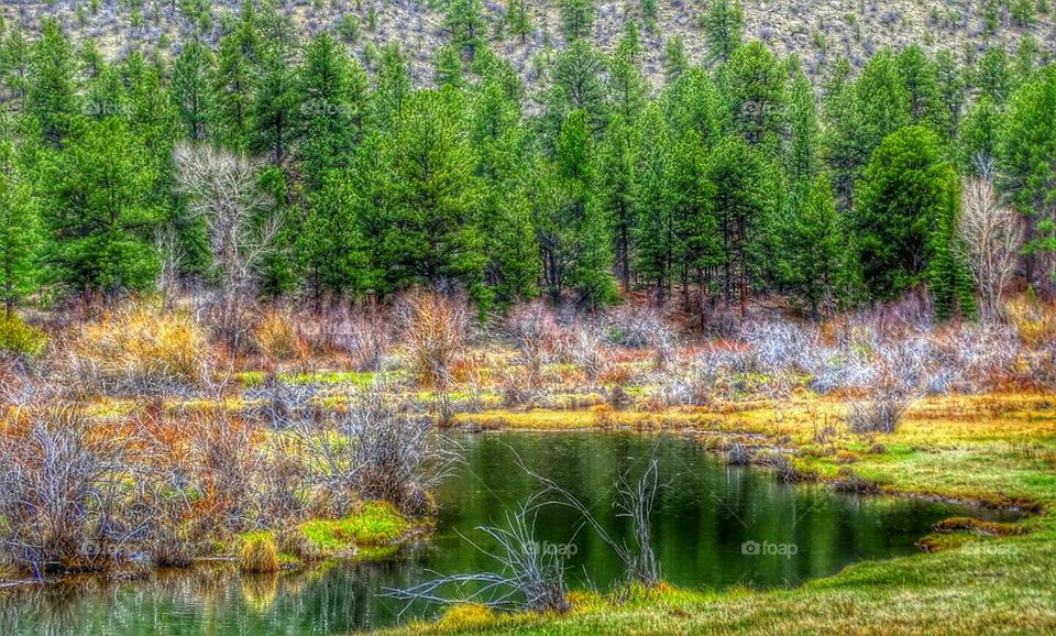 Lazy River. Beautiful river at Deer Valley  Ranch in Buena Vista Colorado