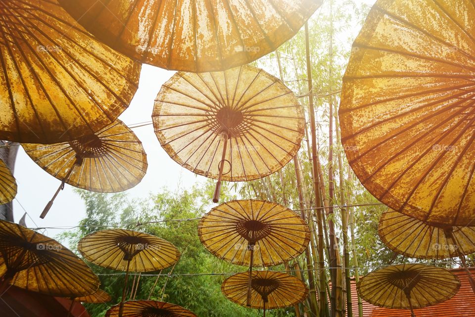 Sunlight with umbrellas