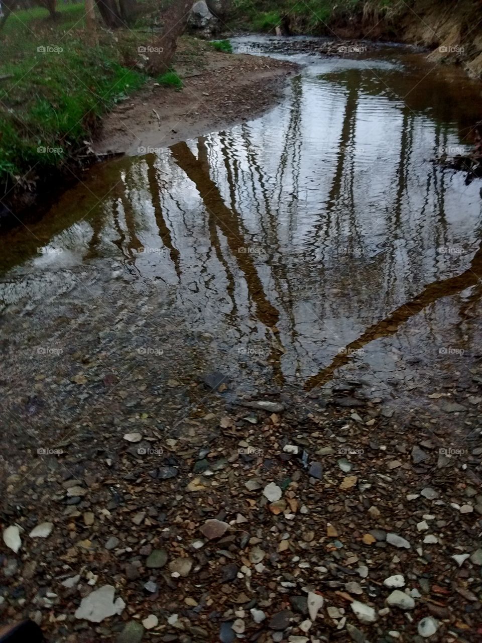 Spring creek at park