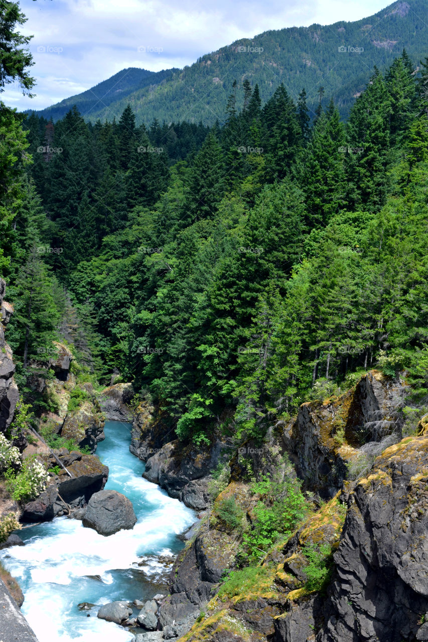 Forest mountains with beautiful river