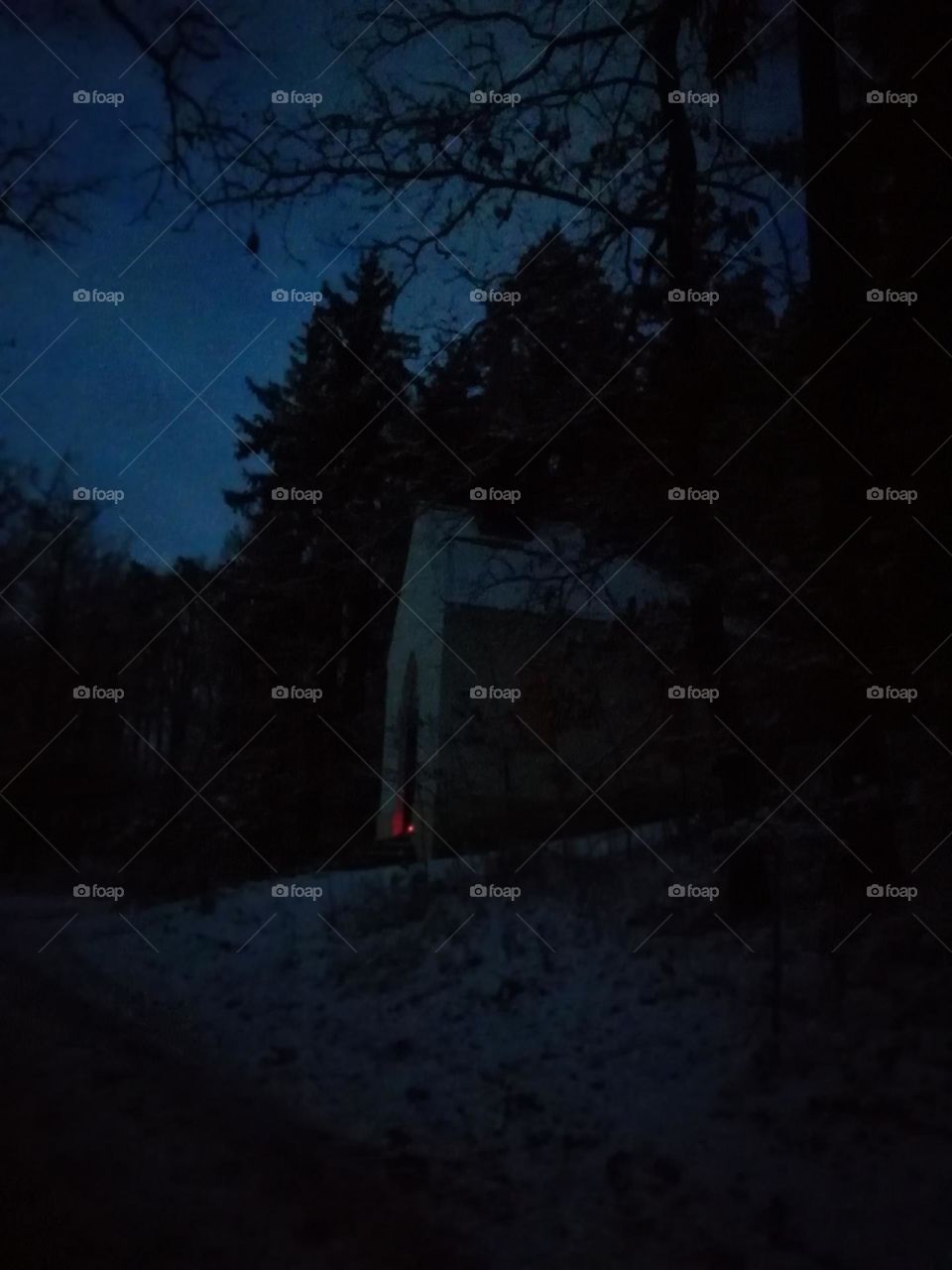 Horrible house in the forest