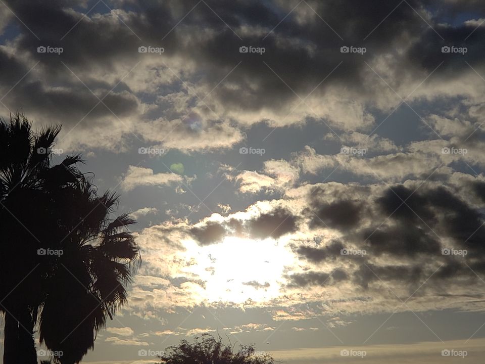 Sunset, No Person, Beach, Sun, Backlit