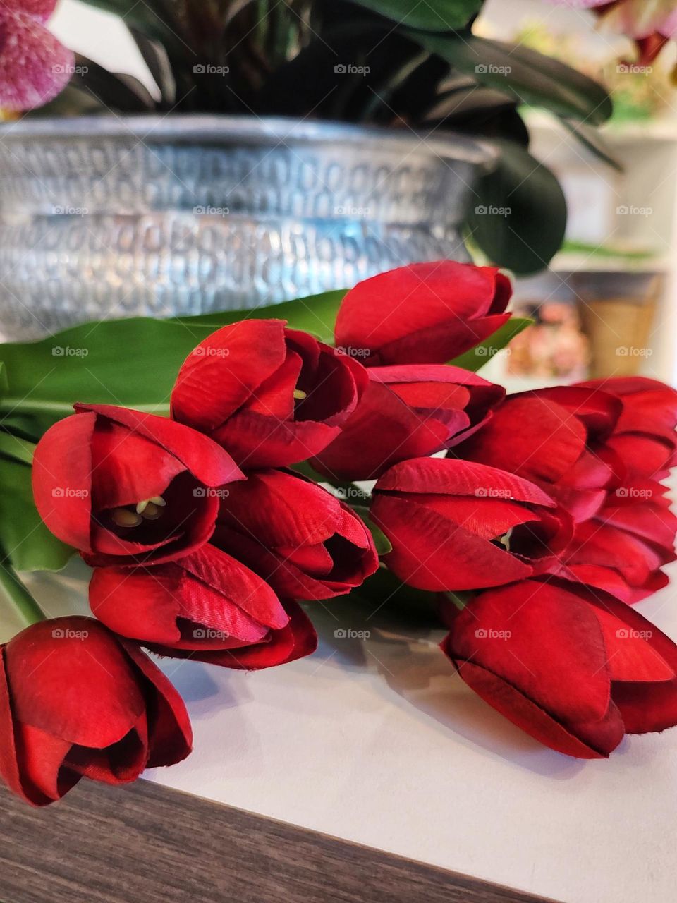 The most beautiful tulips for you to give as a gift.