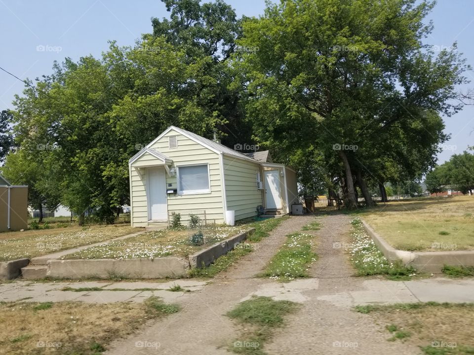 House, Home, Tree, Wood, No Person