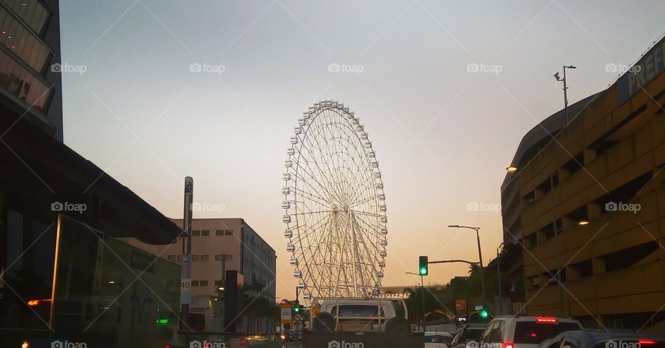 Roda moinho, roda gigante.