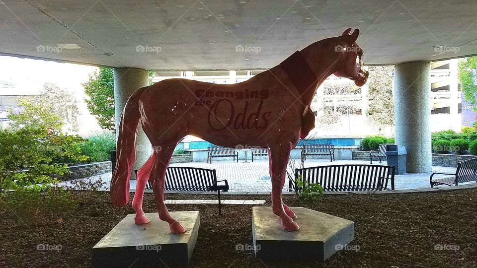 Cancer Horse