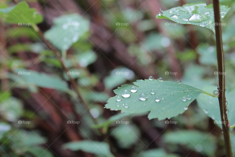 💚💧