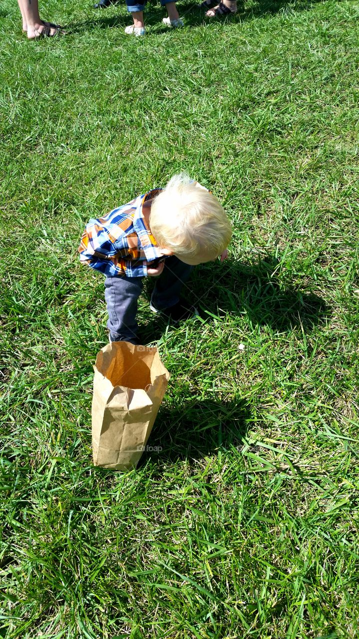 Checking out the grass