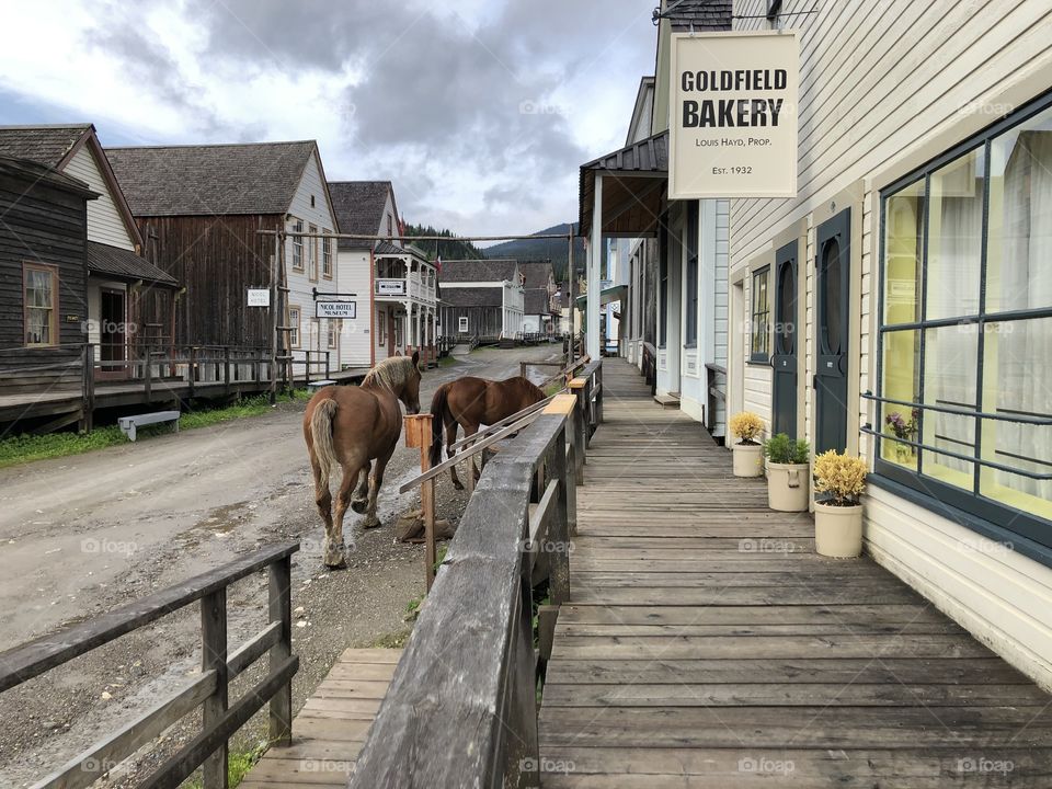 Horses in front of the goldfield bakery in Barkerville 