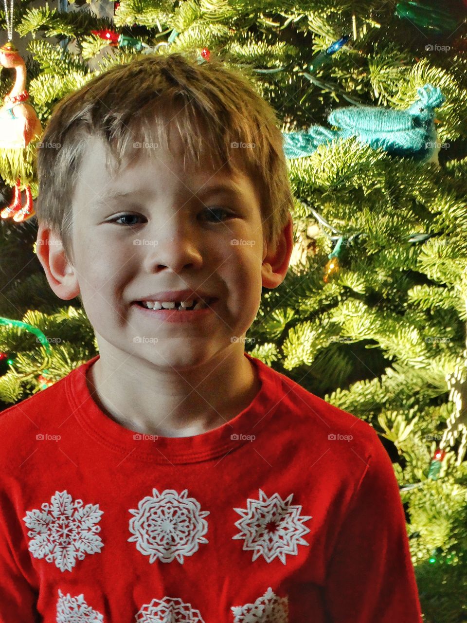 Smiling Young Boy At Christmas
