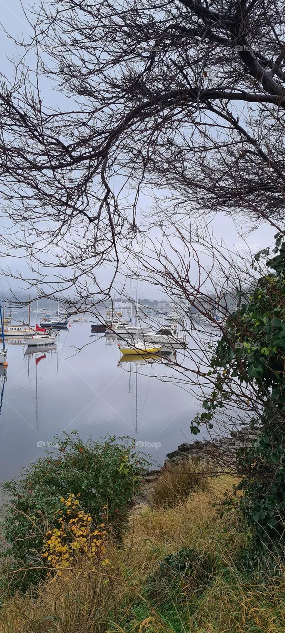 winter morning