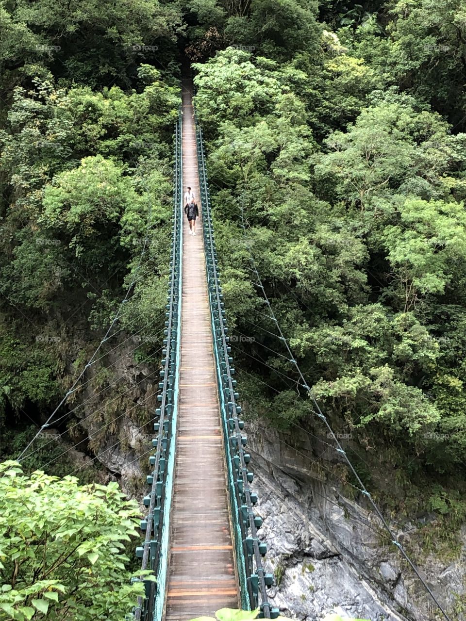 A narrow bridge over the ravine for the one who dare in a nature park in Taiwan. 