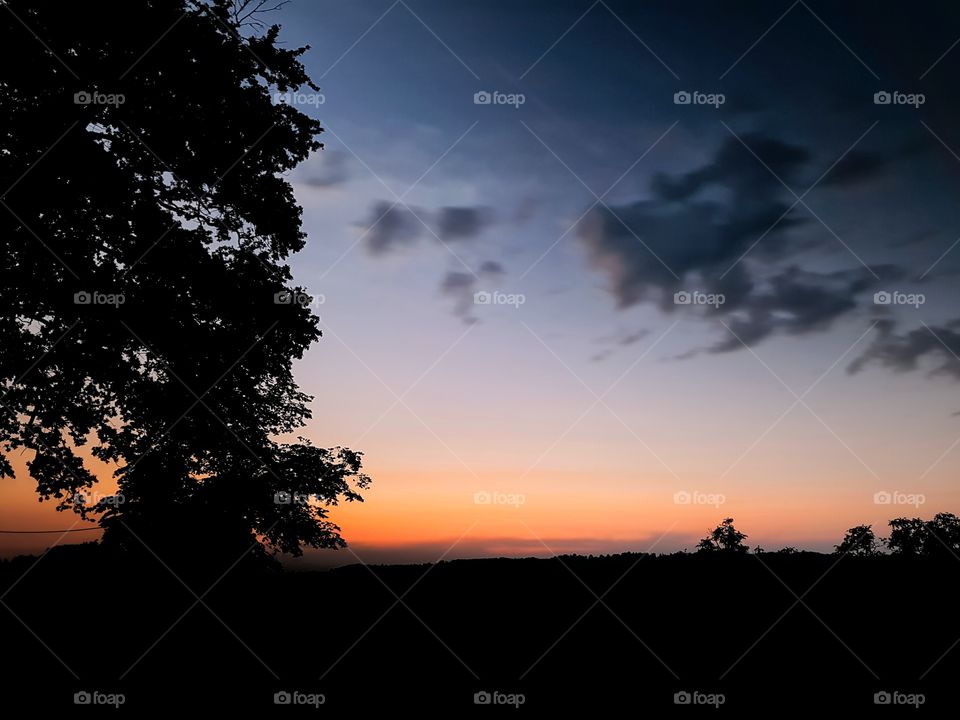 Sunset, Dawn, Evening, Sun, Silhouette