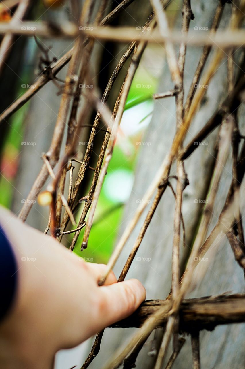 through the fence