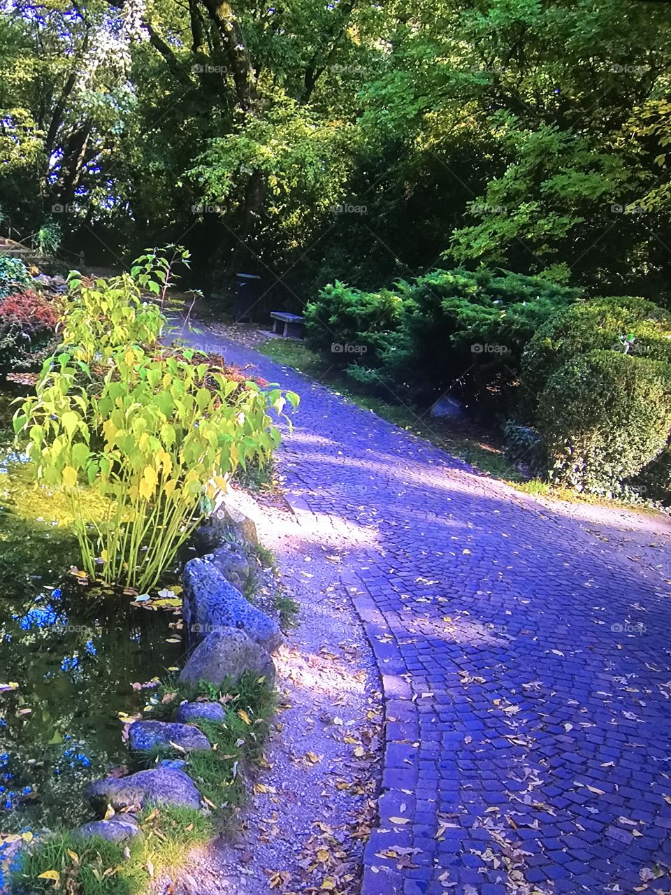 American beautiful Park