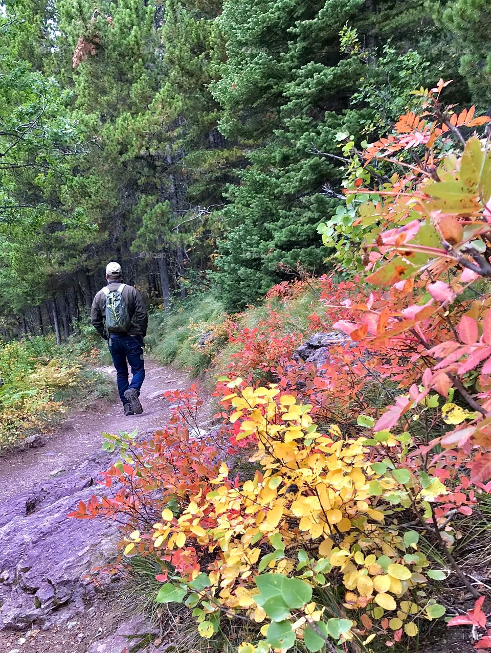 Fall hike through Rocky Mountain National Park