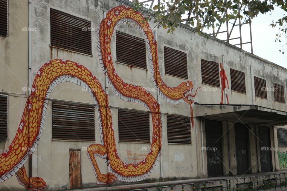 dragon. graffiti in messina