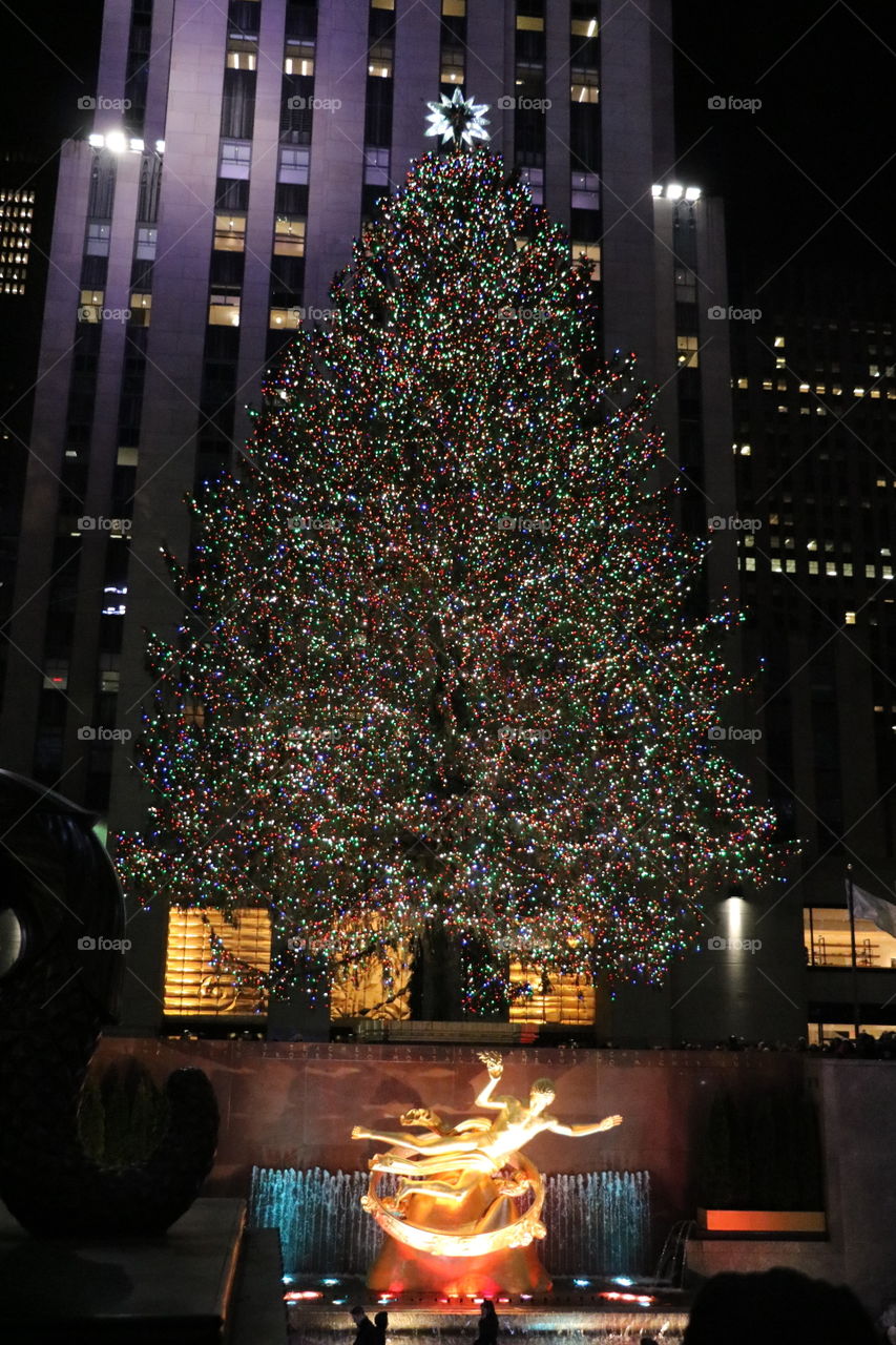 Christmas in NYC - Rockefeller Center Tree