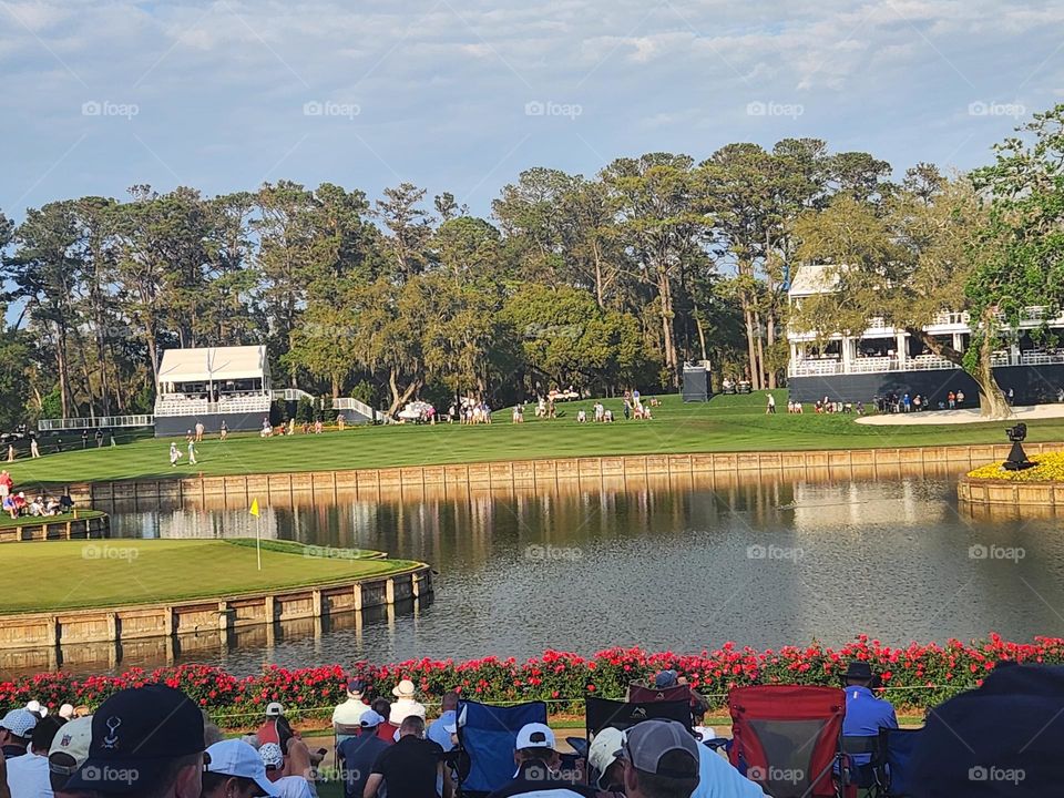 Sawgrass TPC