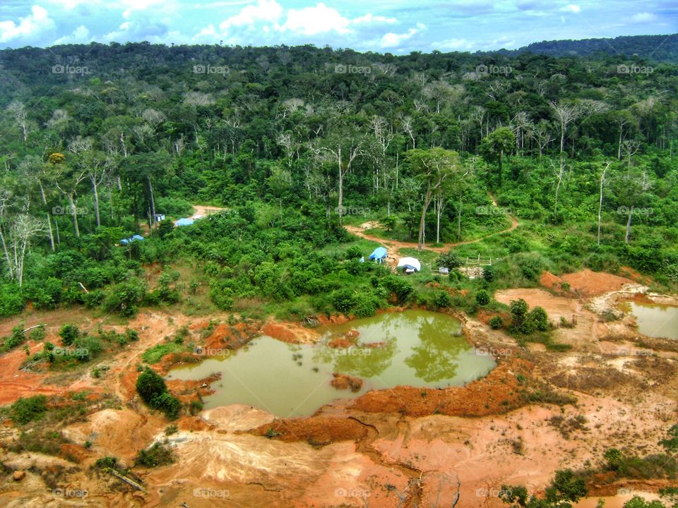selva Brazil