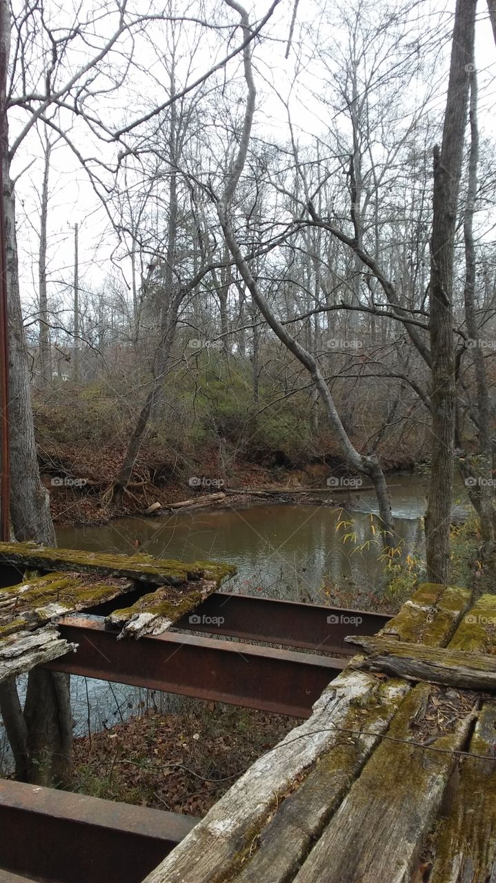 Forestry Off the Alcovy River