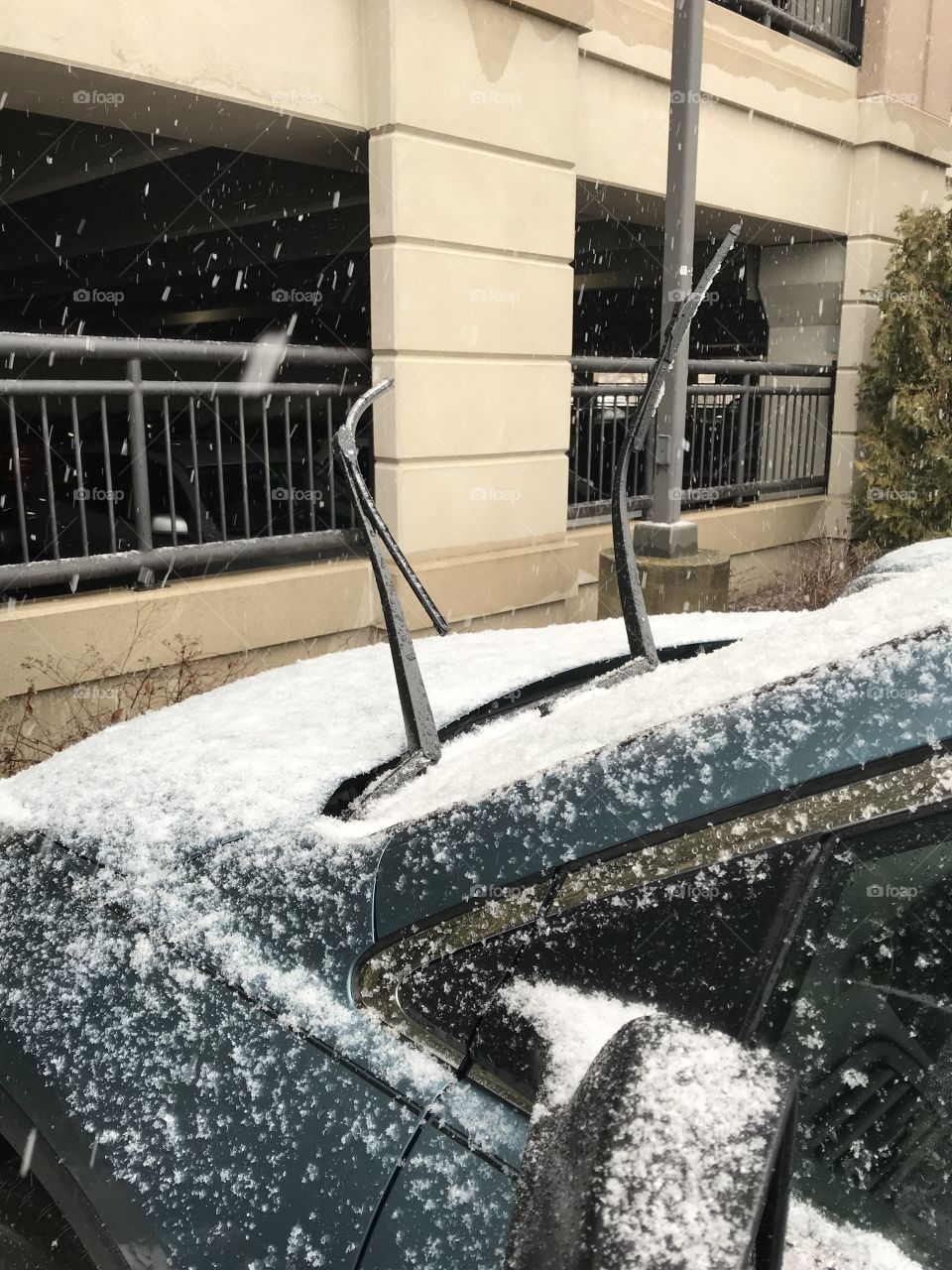 Windshield wipers up on the car for winter 