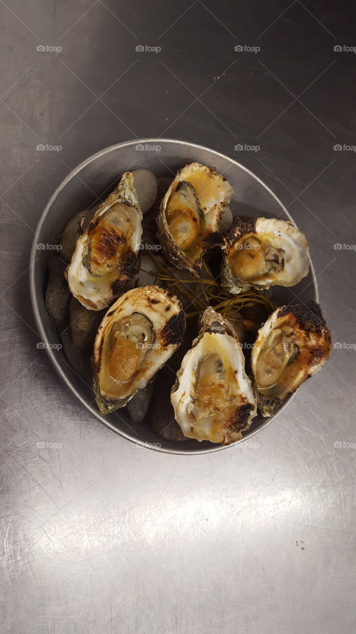 broiled oysters