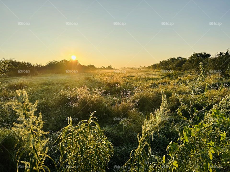 Рассвет 🌅