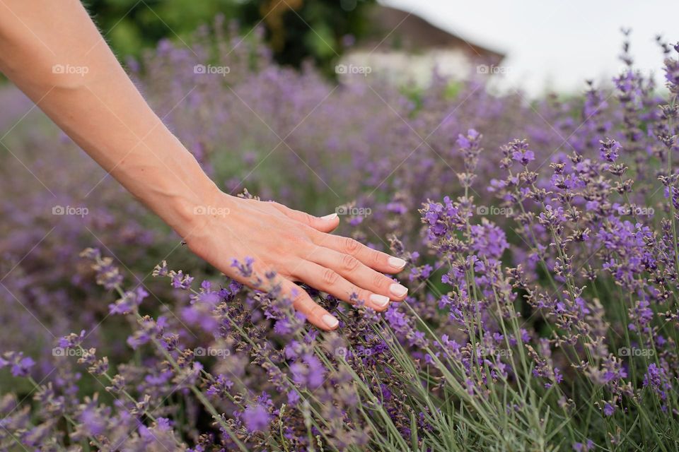 woman hand with beautiful manicure