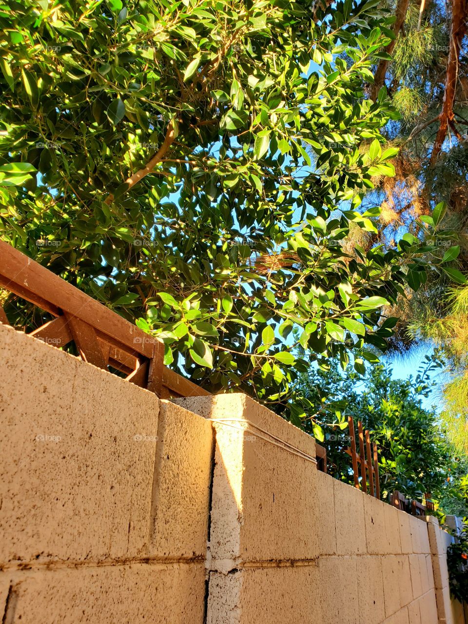 Sunset Light Over the Wall