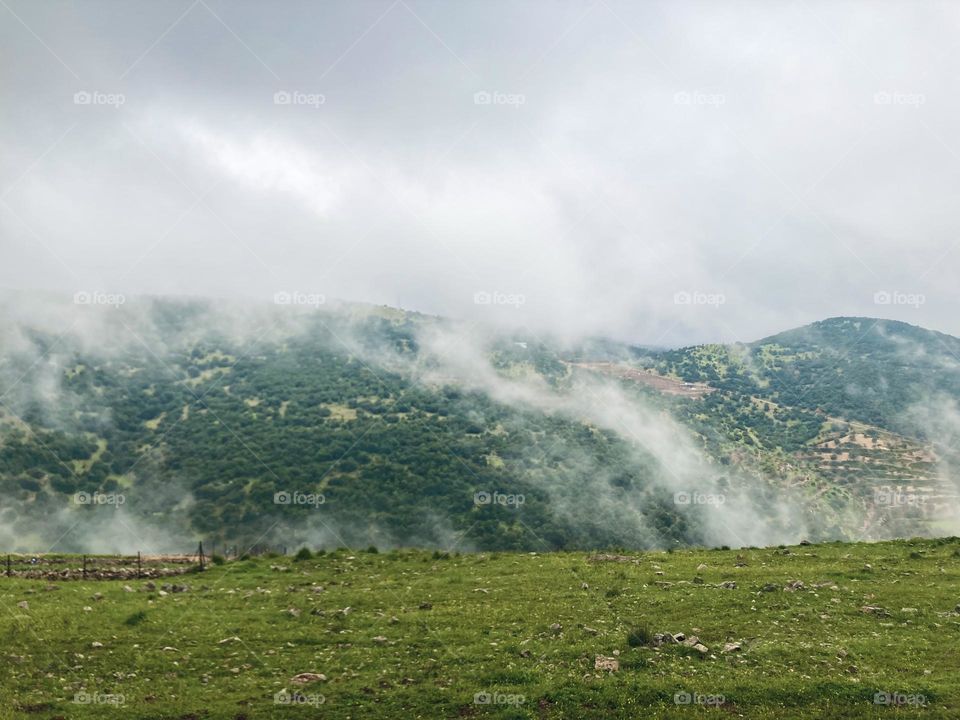 The most beautiful place in Jordan