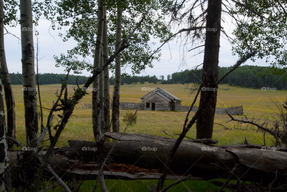 abandoned cattle barn in a meadow in the mountains. old barn and cattle corral. white mountains northern arizona usa by arizphotog