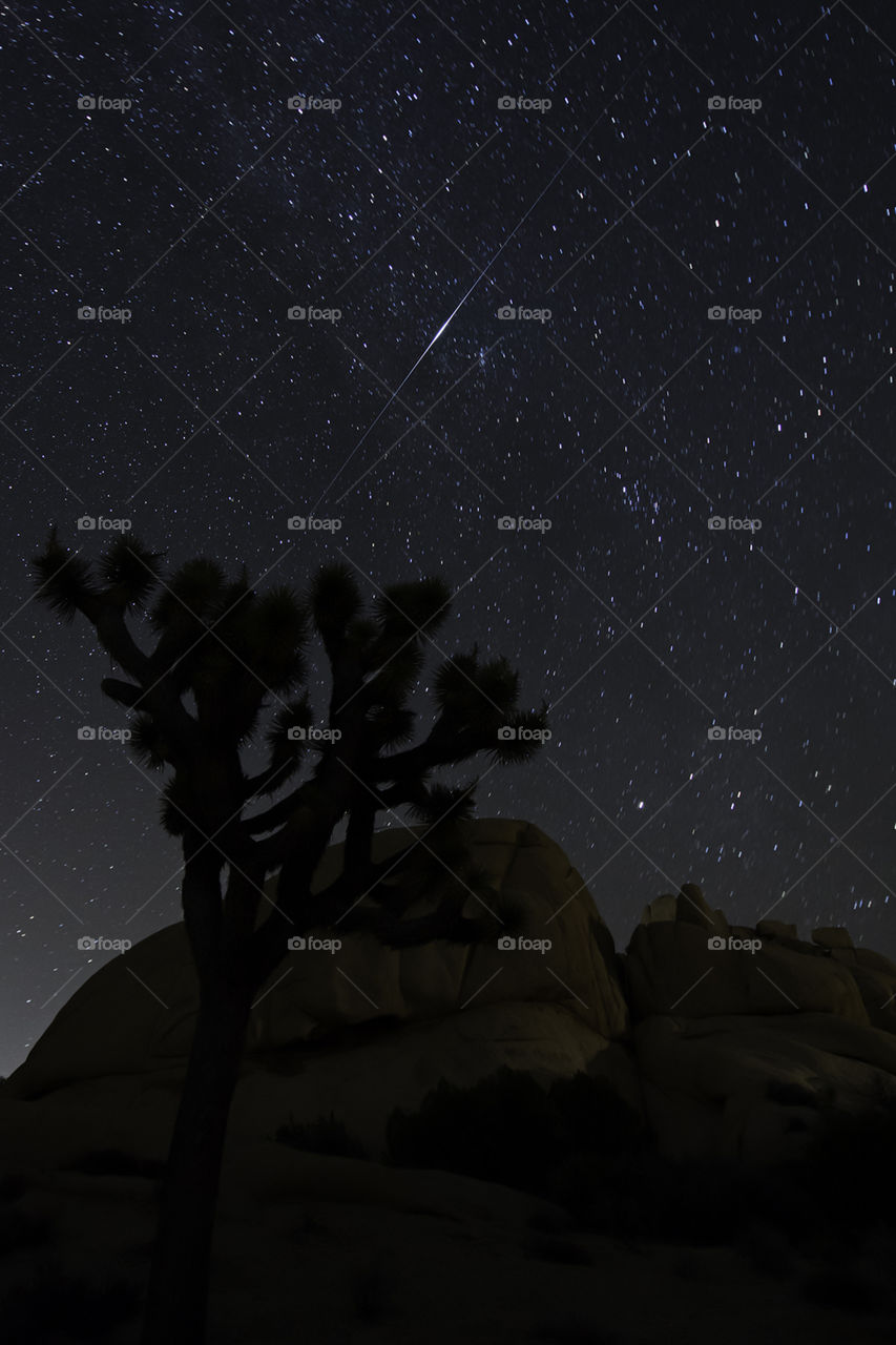 Looking up at the night sky in Joshua Tree National Park capturing a Iridium Flare!